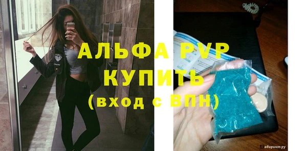 крисы Новодвинск