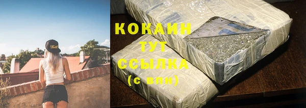 крисы Новодвинск