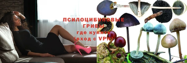 крисы Новодвинск