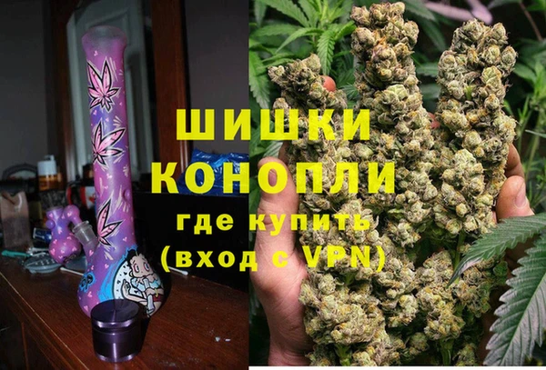 крисы Новодвинск