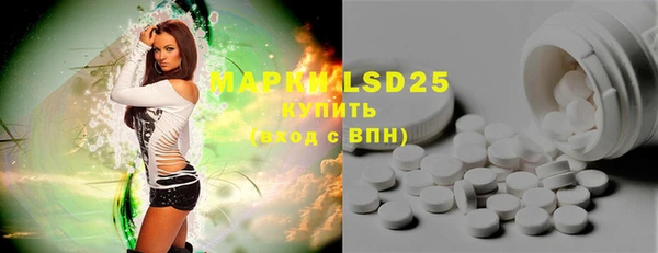 крисы Новодвинск