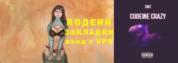 крисы Новодвинск