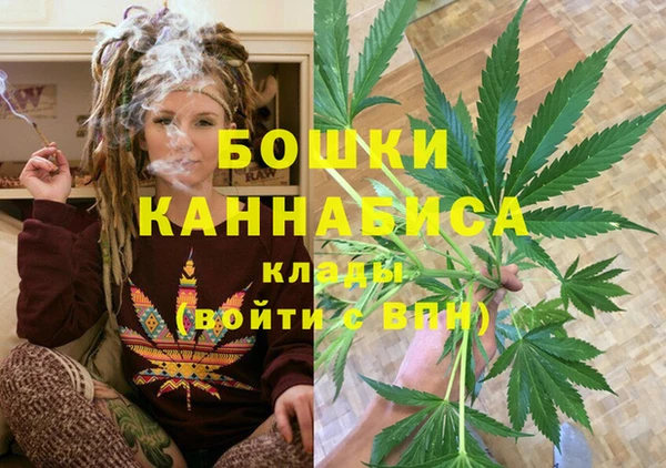 крисы Новодвинск
