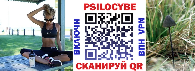 Галлюциногенные грибы прущие грибы гидра ссылки Исилькуль
