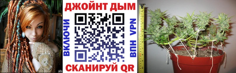 Канабис гибрид  купить наркоту  Исилькуль 